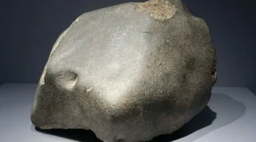 مفاجأة مذهلة.. رجل يحتفظ بصخرة لسنوات يظن داخلها ذهباً